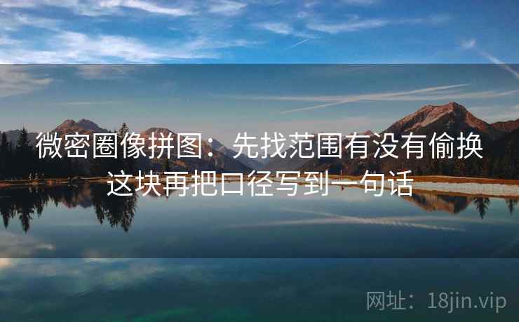 微密圈像拼图：先找范围有没有偷换这块再把口径写到一句话  第2张